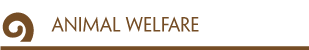 Animal Welfare