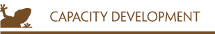 Capacity Development