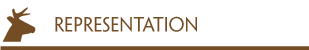 Representation